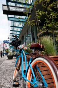 TheBurrard_Electra Cruiser_Bikes