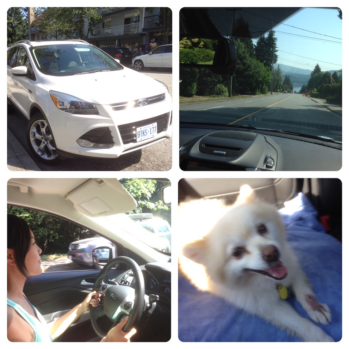 ford escape deep cove collage