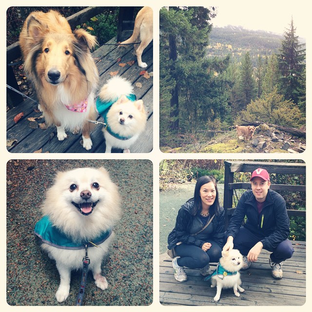 MMV Woof Weekend Hikes