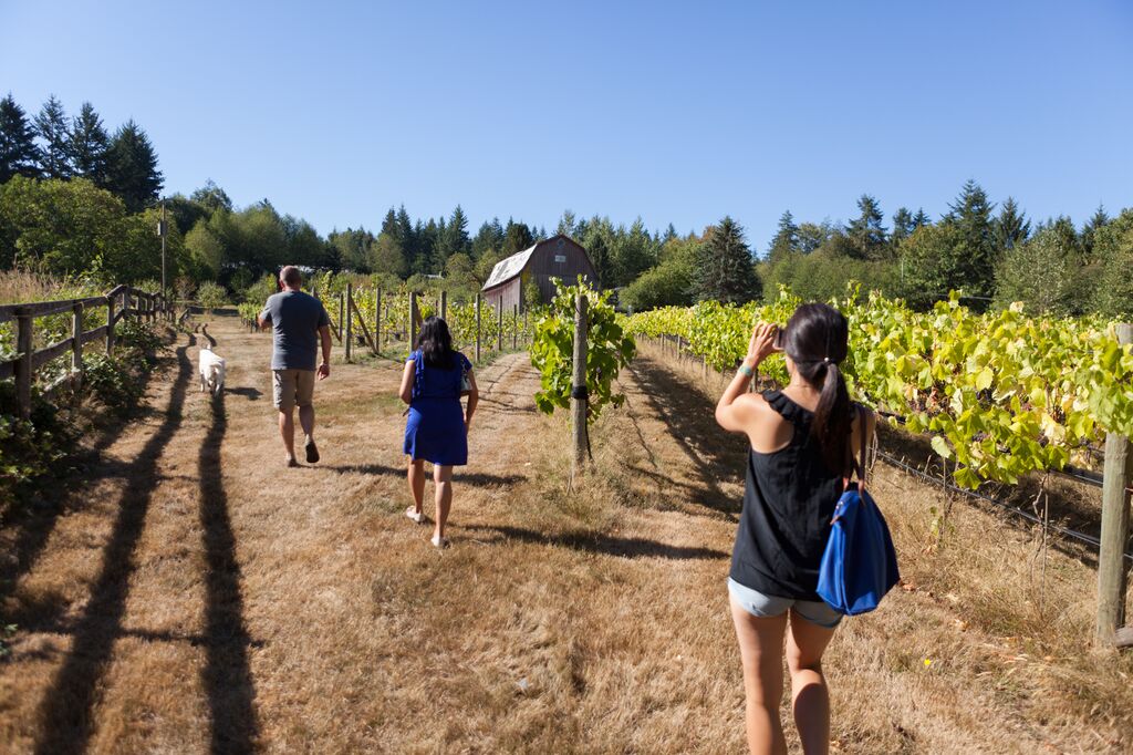 Vista D'Oro Winery