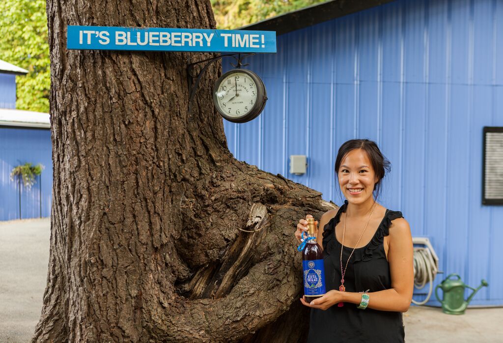 onnicks blueberry farm abbotsford 3