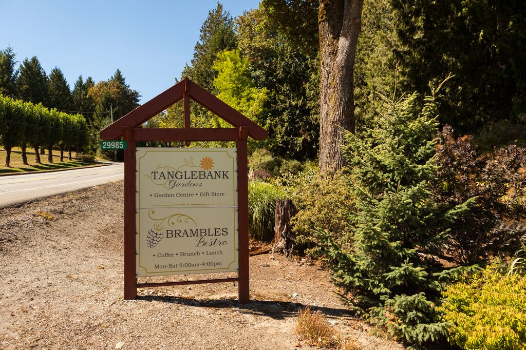 tanglebank gardens 1