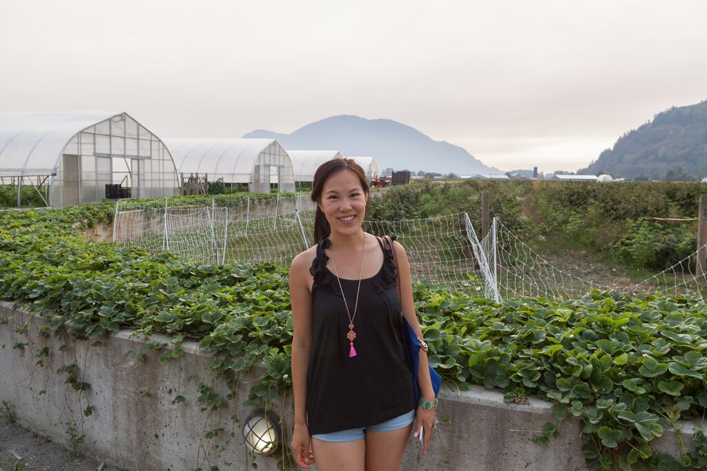 the local harvest chilliwack 2