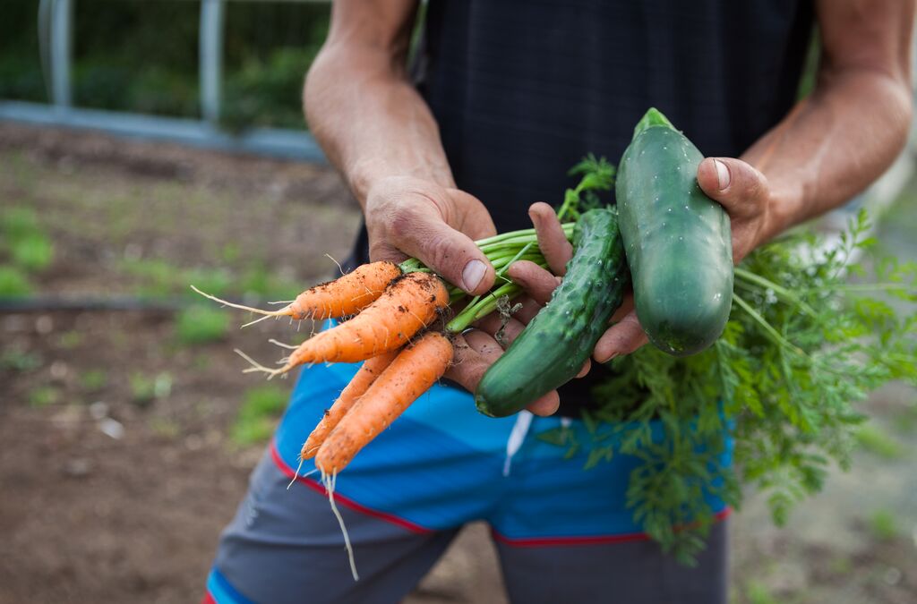 the local harvest chilliwack 8