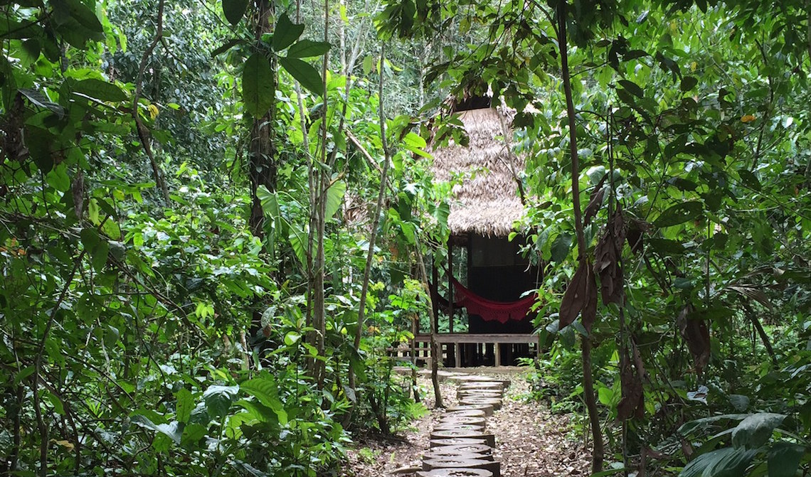 madidi jungle ecolodge