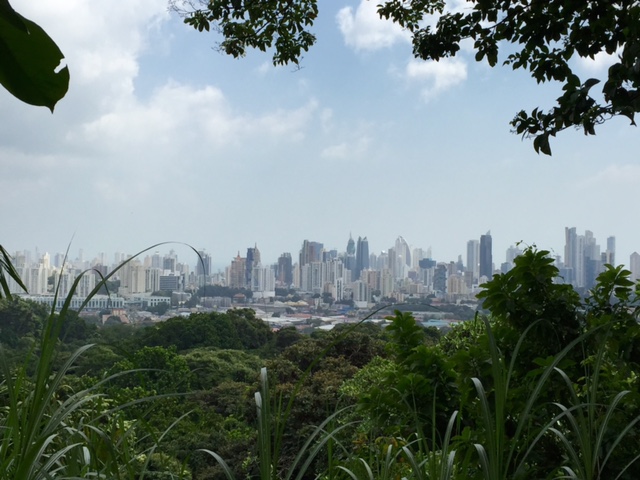 Parque Natural Metropolitano in Panama City 1