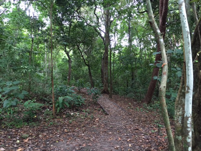 Parque Natural Metropolitano in Panama City 4