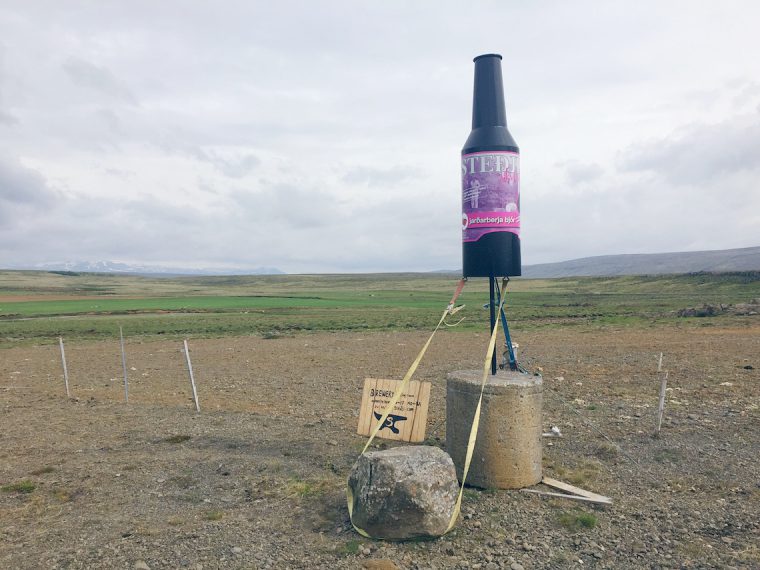 Stedji icelandic craft beer tasting