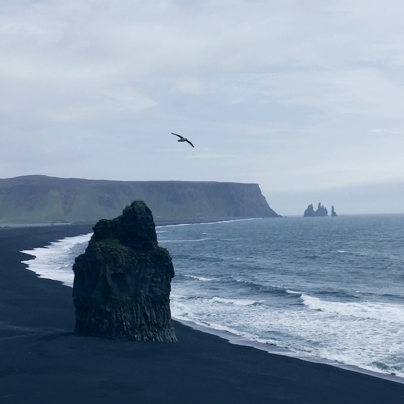 Vik South Iceland Black Sand Beach Photo 3