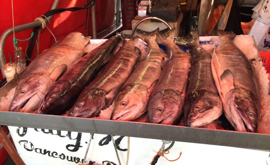 Vendors selling fresh fish at Steveston's Fisherman's Wharf