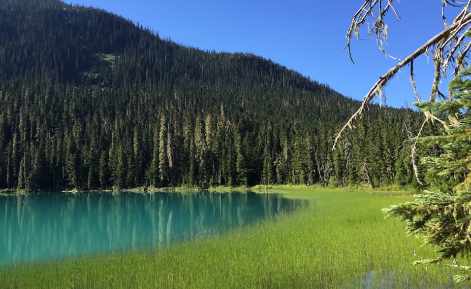 Joffre Lakes Hike Lower Lake