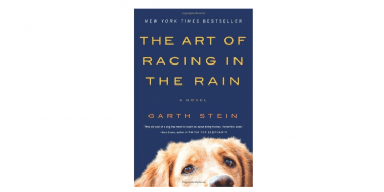 The Art of Racing in the Rain 