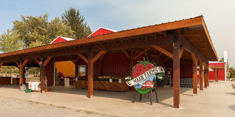 maan farms abbotsford