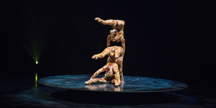 CIrque du Soleil KOOZA Contorsion