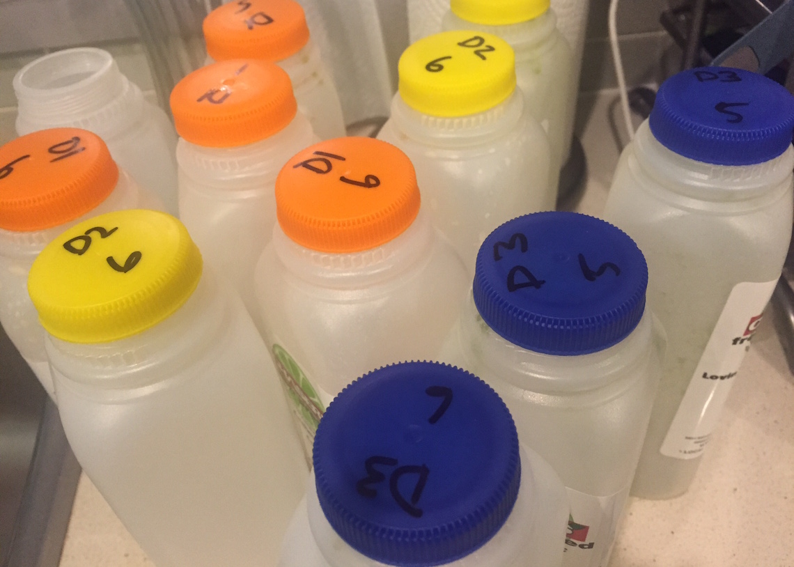 Review Chaser's 3 Day Juice Cleanse Modern Mix Vancouver