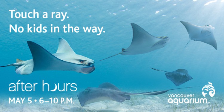 Vancouver Aquarium After Hours Discover Rays
