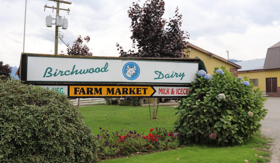 A Visit to Birchwood Dairy and Farm Market in Abbotsford, BC Modern