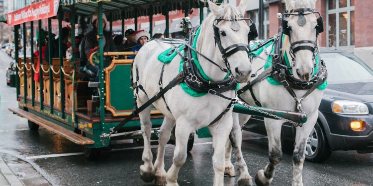 CandyTown 2017 YAletown 2
