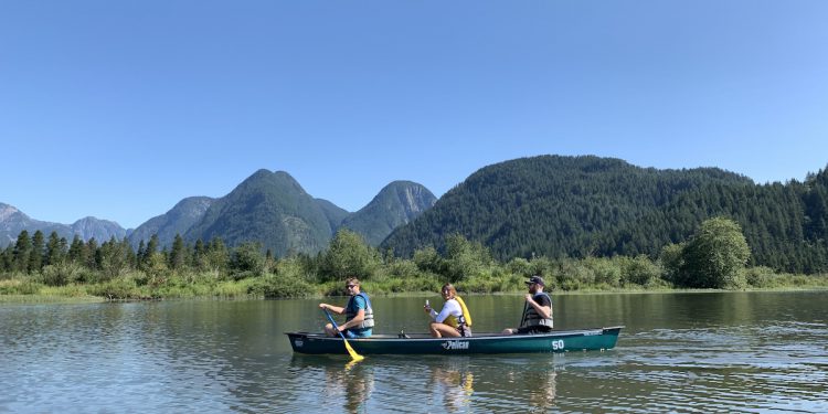 canoeing at Pitt lake to widgeon falls