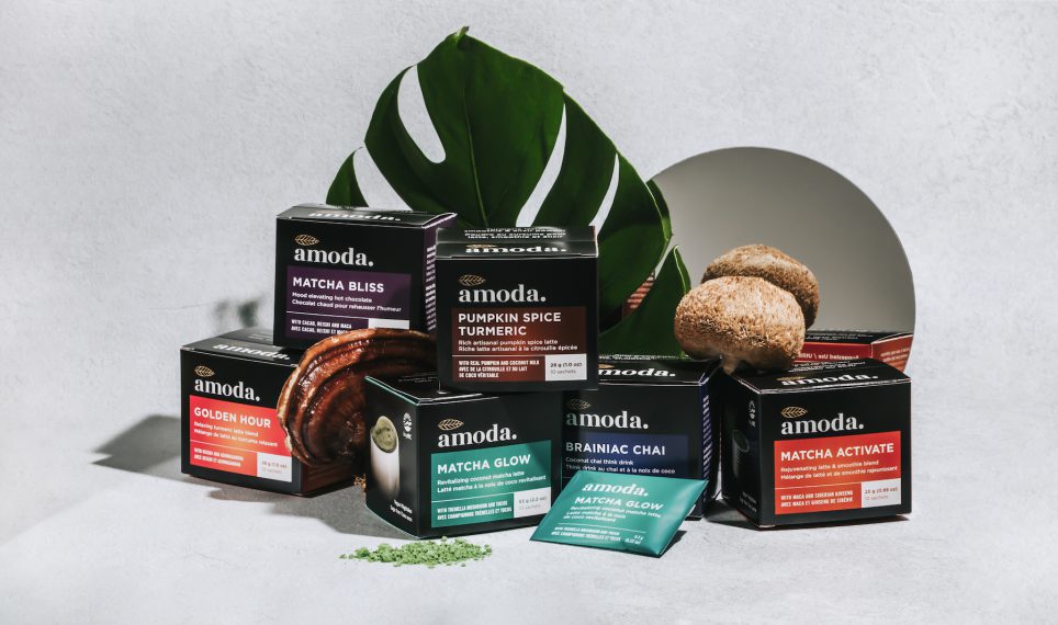 Amoda Superfood Lattes