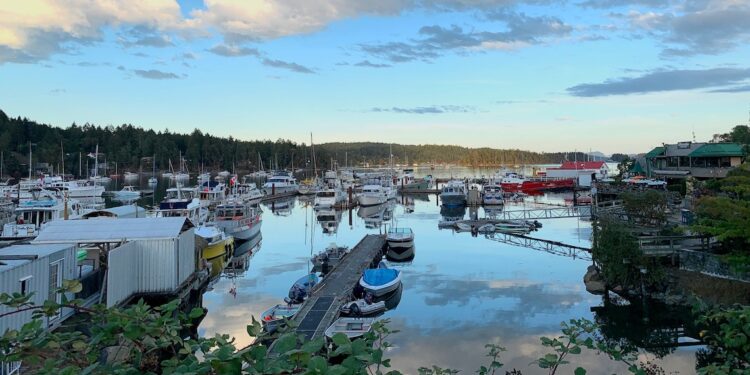 view of salt spring island ganges village and boats