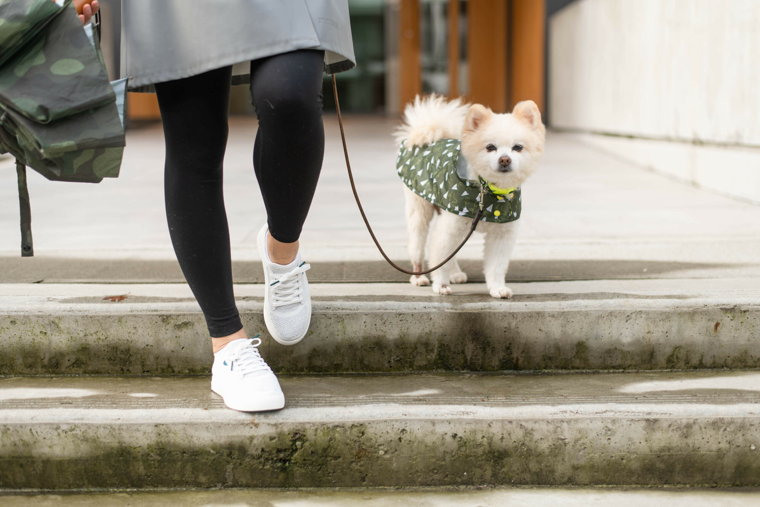 woman wearing vessi white weekend shoes while walking dog