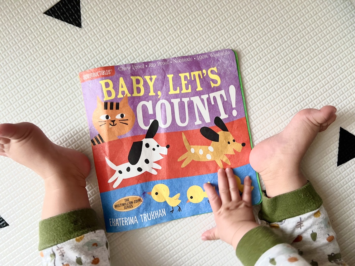 Baby Let's Count - Indestructible Books for Babies