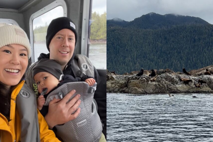 Tofino Whale Watching Tour