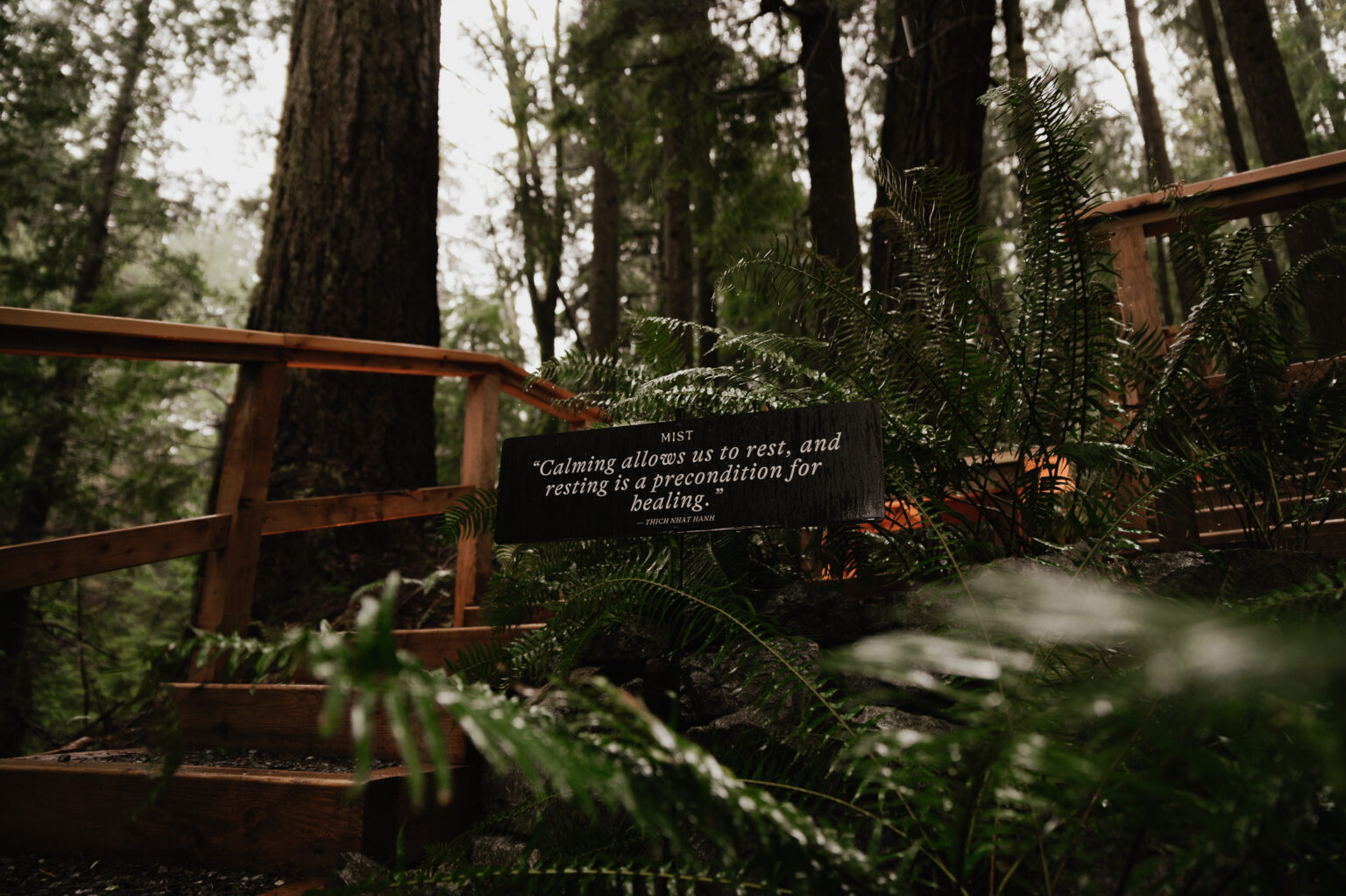 Bowen Island Mist Thermal Sanctuary Review | Modern Mix Vancouver